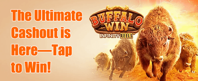 Weekly VIP Cashback Rebate promotion